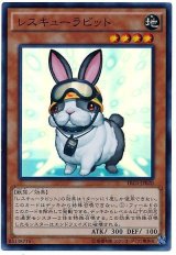 レスキューラビット【スー】（Cランク）
