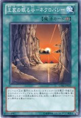 王家の眠る谷-ネクロバレー（Ｂランク）