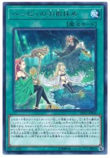 ハーピィの羽根休め【レア】