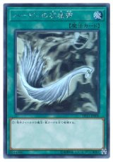 ハーピィの羽根帚【ホロ】