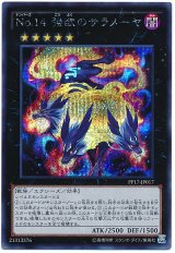 No.14 強欲のサラメーヤ【シク】（Cランク）