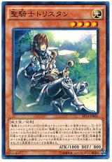聖騎士トリスタン（Bランク）