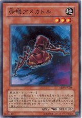 赤蟻アスカトル（Bランク）