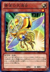黄金の天道虫（Bランク）