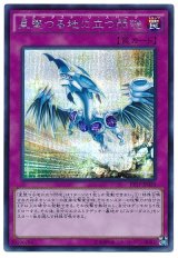 星墜つる地に立つ閃珖【シク】(Ｂランク)