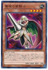 薔薇の聖騎士【ノー】（Bランク）