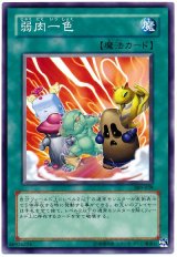 弱肉一色（Bランク）