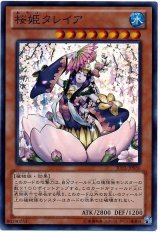 桜姫タレイア【スー】（Bランク）