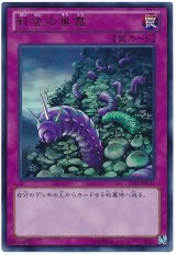 針虫の巣窟【ウル】（Bランク）