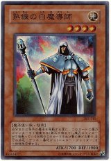 熟練の白魔導師【スー】