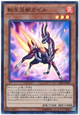 転生炎獣ガゼル【スー】（Cランク）