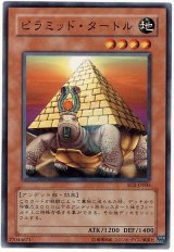ピラミッド・タートル（Bランク）