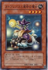 カトブレパスと運命の魔女【スー】（Bランク）