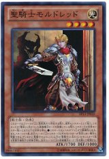 聖騎士モルドレッド【スー】（Bランク）