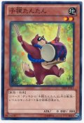子狸たんたん（Bランク）