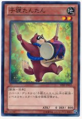 子狸たんたん（Bランク）