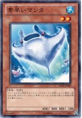 素早いマンタ（Bランク）