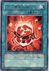 コア濃度圧縮（Bランク）
