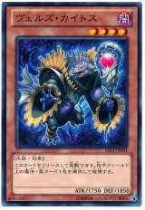 ヴェルズ・カイトス（Bランク）