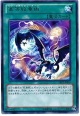 高等紋章術（Bランク）