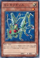 エレキリギリス（Bランク）