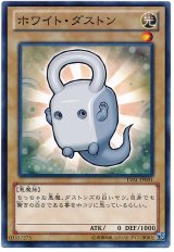 ホワイト・ダストン（Bランク）