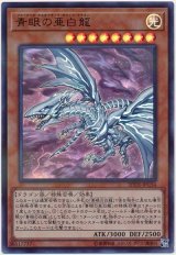 青眼の亜白龍【ウル】（Bランク）