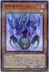 方界胤ヴィジャム【スー】（Cランク）