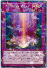 マーシャリング・フィールド【パラ】