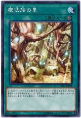 魔法族の里【ノー】