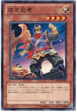 成金忍者（Bランク）