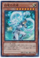 白竜の忍者【スー】（Bランク）