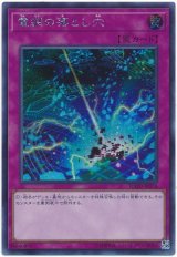 電網の落とし穴【シク】（Bランク）