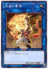 天威の拳僧【ノー】（Bランク）