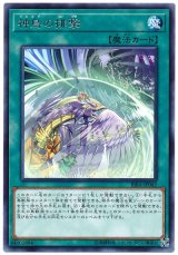 神鳥の排撃【レア】