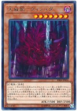 天威龍-ヴィシュダ【レア】
