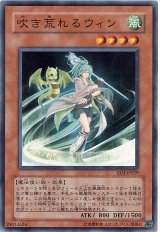 吹き荒れるウィン（Bランク）