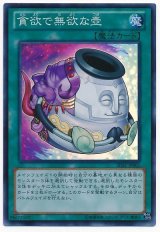 貪欲で無欲な壺【スー】（Bランク）