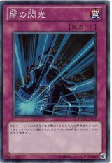 闇の閃光【スー】（Bランク）