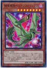 捕食植物ヘリアンフォリンクス【スー】（Bランク）
