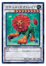 ナチュル・ガオドレイク【スー】（Bランク）
