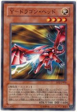 Y-ドラゴン・ヘッド（Bランク）