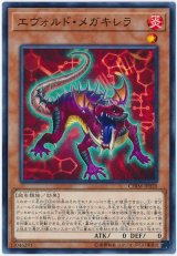 エヴォルド・メガキレラ【ノー】
