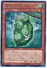 森羅の実張り ピース【レア】
