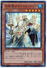 氷結界のロイヤル・ナイト【スー】（Bランク）