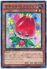 ナチュル・トライアンフ（Bランク）