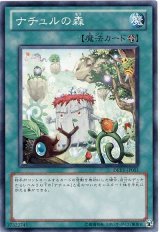 ナチュルの森【ノー】（Bランク）