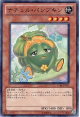 ナチュル・パンプキン【ノー】（Bランク）