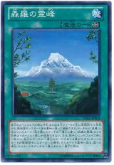 森羅の霊峰【ノー】（Bランク）