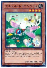 ナチュル・ドラゴンフライ（Bランク）